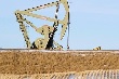 Giá dầu chững đà tăng sau số liệu nguồn cung tăng tuần thứ 7 